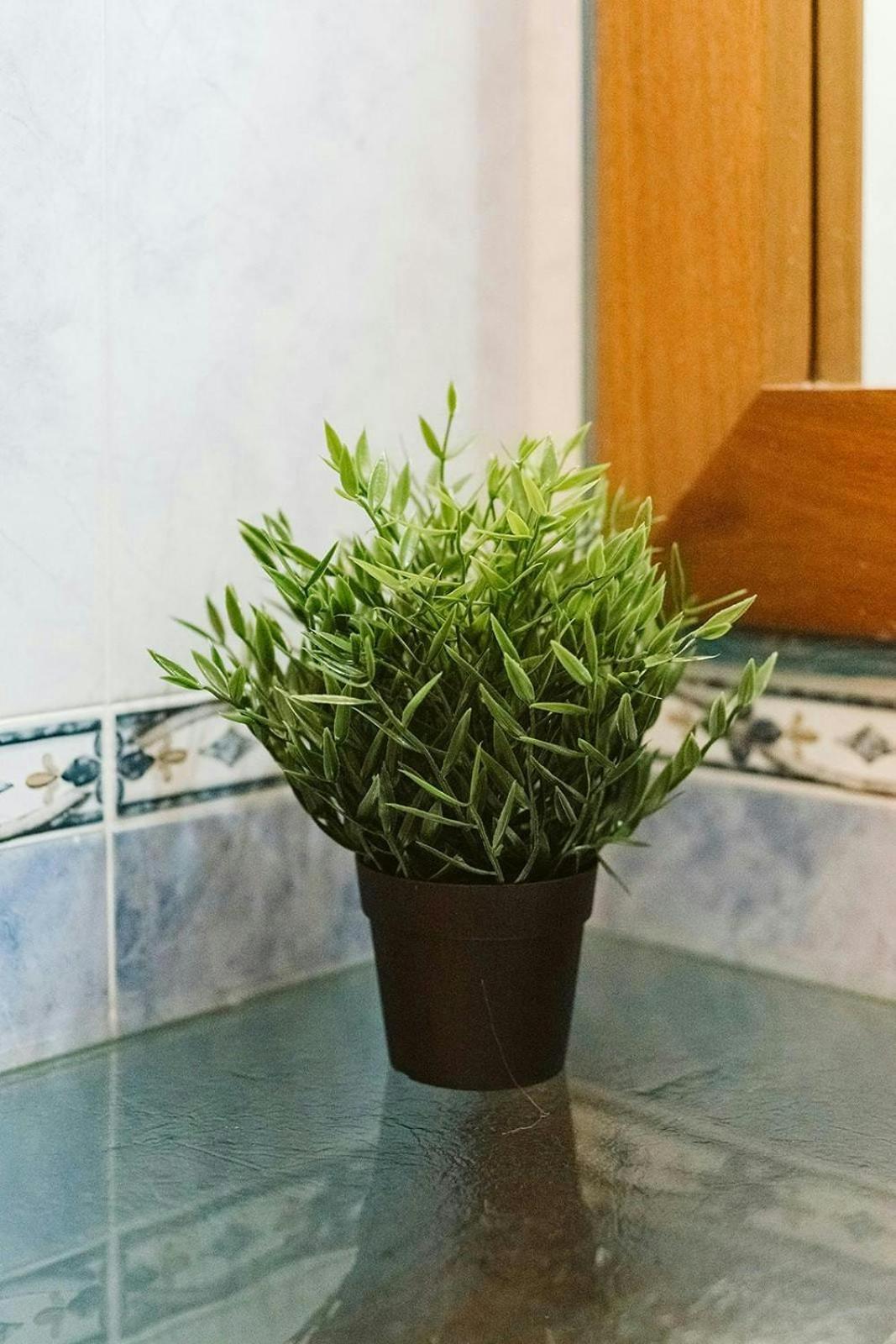 דירות Sallent de Gállego Casa Begona - Wifi Sencillo Y Acogedor מראה חיצוני תמונה
