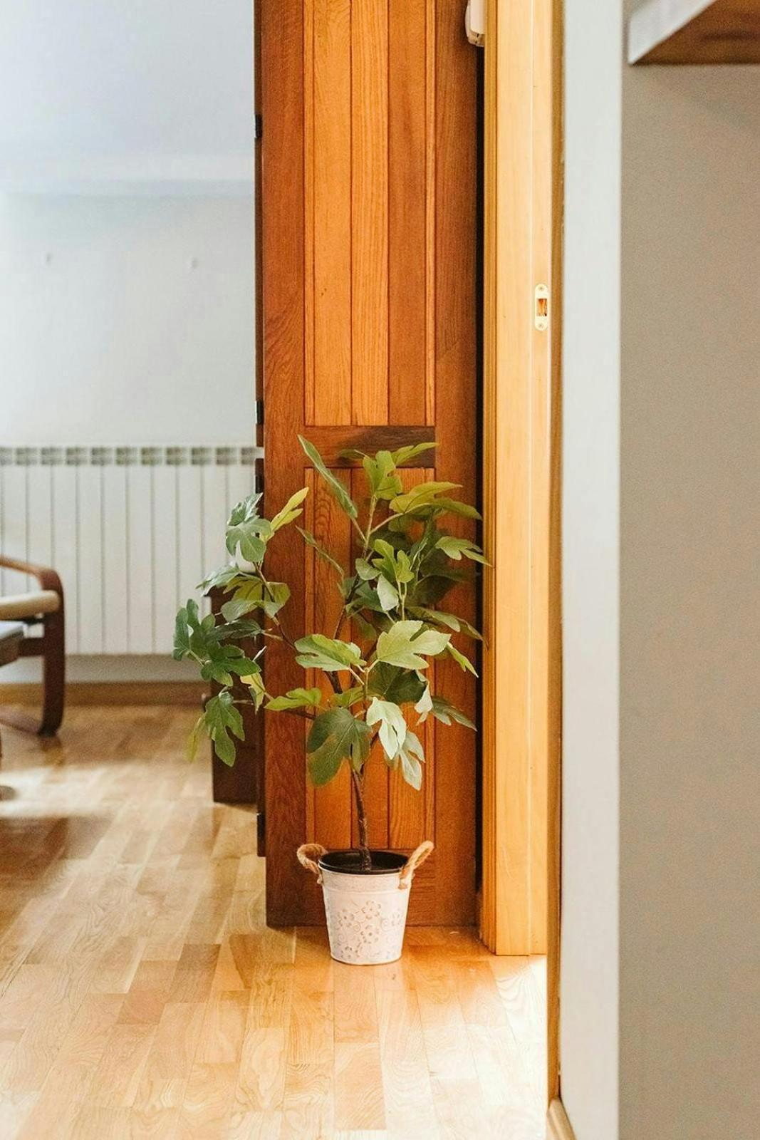דירות Sallent de Gállego Casa Begona - Wifi Sencillo Y Acogedor מראה חיצוני תמונה